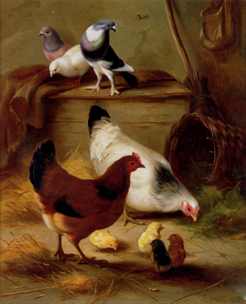 Edgar Hunt Pigeons and Chickens 1897